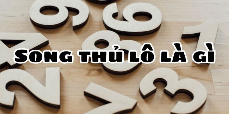 Giải thích khái niệm song thủ lô là gì và vì sao được ưa chuộng