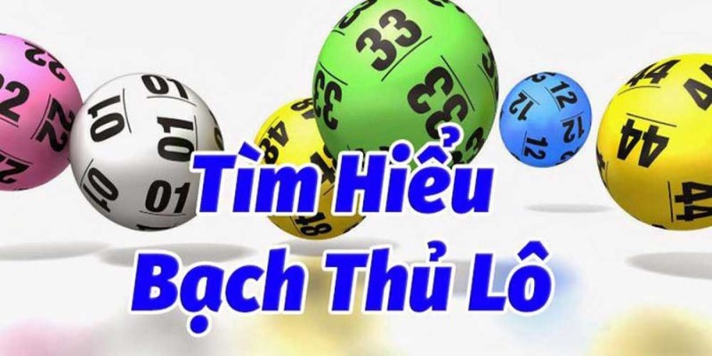 Tìm Hiểu Bạch Thủ Lô Là Gì? Những Mẹo Bắt Lô Cực Hiệu Quả